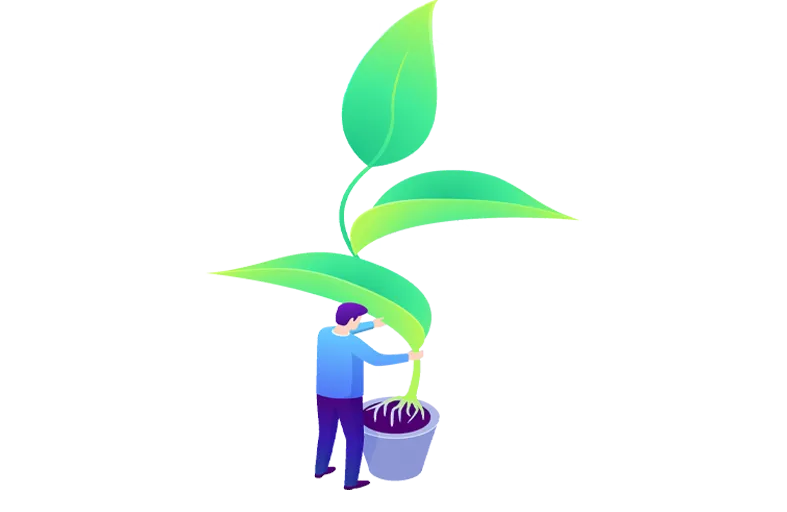 icone funzionamento green